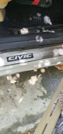 honda-civic-vti-oriel-prosmatec-2007-big-12