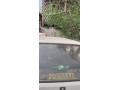 suzuki-mehran-vxr-2017-small-3