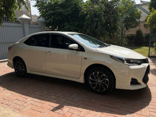 altis-grande