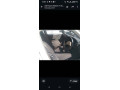 suzuki-khyber-1994-in-good-condition-family-used-shower-small-8
