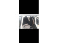 suzuki-khyber-1994-in-good-condition-family-used-shower-small-4