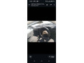 suzuki-khyber-1994-in-good-condition-family-used-shower-small-7