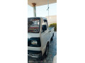 suzuki-ravi-2010-small-1