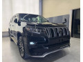 prado-txl-small-1