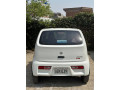 suzuki-alto-2024-small-3