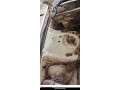honda-civic-exi-1995-register-1996-exchange-possible-small-10