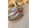 toyota-corolla-gli-2017-small-2