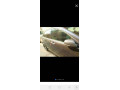 honda-accord-2008-cl9-small-10