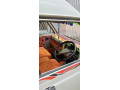 suzuki-bolan-2006-small-1