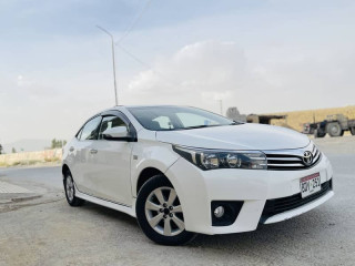 altis-grande