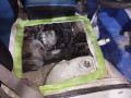 suzuki-bolan-2012-small-13