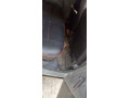 suzuki-mehran-vxr-2015-1010-condition-small-3