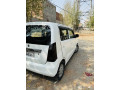 wegnor-vxl-2020-small-5