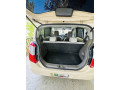 1317-japnies-alto-small-4