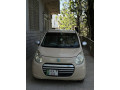 1317-japnies-alto-small-1
