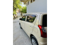 1317-japnies-alto-small-12