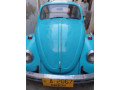 vw-beetle-1969-small-1