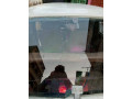 suzuki-fx-1987-small-11