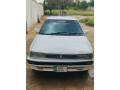 88-model-carolla-small-1