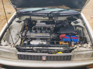 88-model-carolla