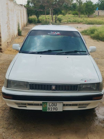 88-model-carolla-big-1
