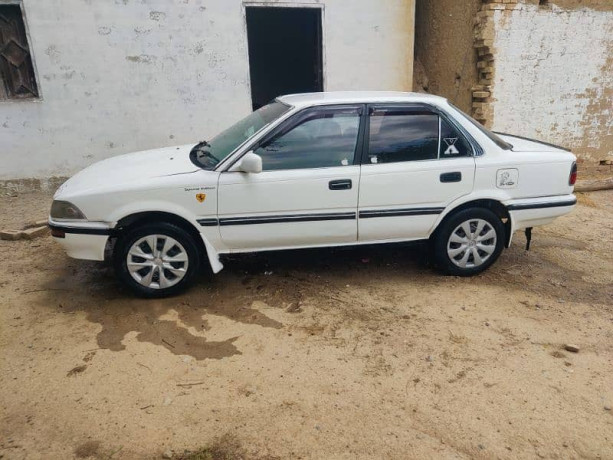 88-model-carolla-big-2