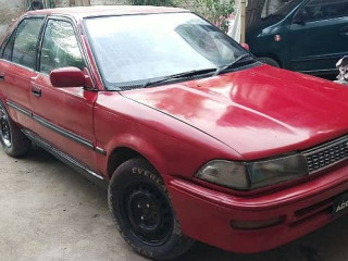 corolla
