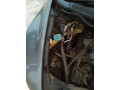 honda-civic-vti-oriel-prosmatec-2011-small-6