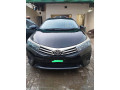 gli-2015-small-8