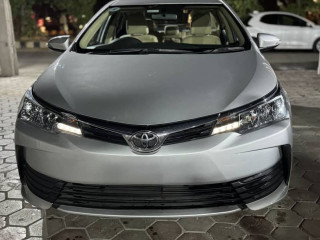 toyota-corolla-13-gli-auto