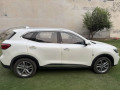 mg-hs-trophy-edition-small-7