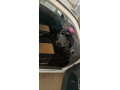 suzuki-cultus-vxr-2015-small-7