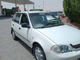 caltus-2007