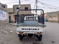 suzuki-ravi-2007-small-2