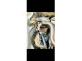 daihatsu-mira-small-7