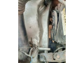 suzuki-cultus-vxr-2003-small-19