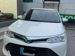axio-hybrid-radar-2016