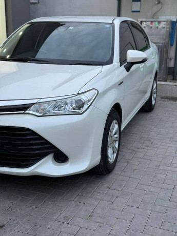 axio-hybrid-radar-2016-big-1