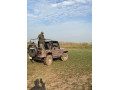 jeep-cj-7-1979-small-6