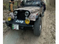 jeep-cj-7-1979-small-8