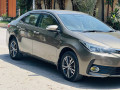 gli-2019-reg-2020-03025902393-small-5
