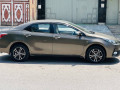 gli-2019-reg-2020-03025902393-small-3