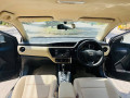 gli-2019-reg-2020-03025902393-small-1
