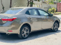 gli-2019-reg-2020-03025902393-small-7