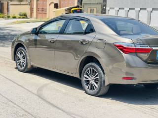 gli-2019-reg-2020-03025902393
