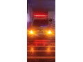 suzuki-bolan-2024-small-9