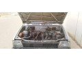 suzuki-mehran-2004-vxr-small-6