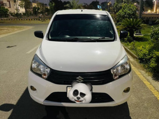 cultus-vxr-2020
