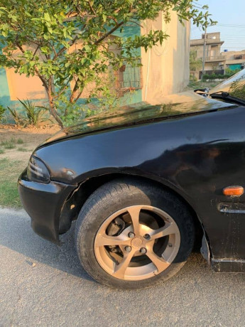 civic-95-dolfin-for-new-hom-big-8