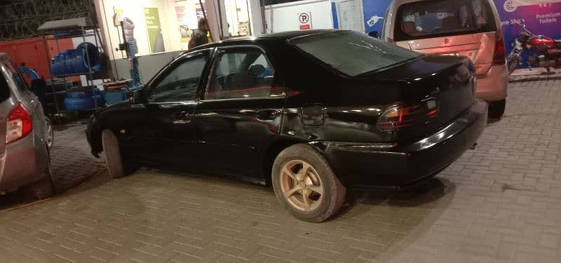 civic-95-dolfin-for-new-hom-big-7